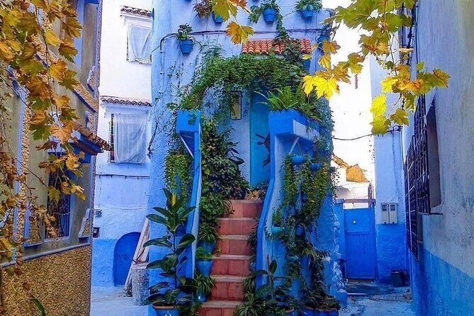 Small Group Day Trip to Chefchaouen from Fez - Who Will Love This Tour?