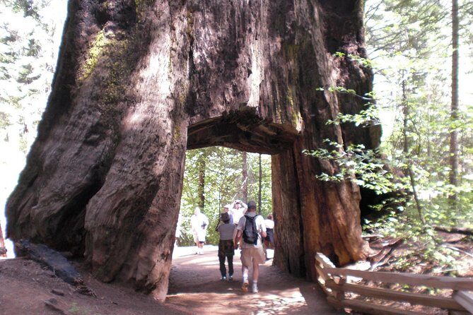 Small-Group Day Trip to Yosemite from Lake Tahoe - An Introduction to the Yosemite Small-Group Day Trip