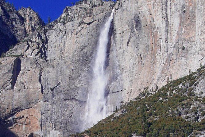 Small-Group Day Trip to Yosemite from Lake Tahoe - Pricing and Value