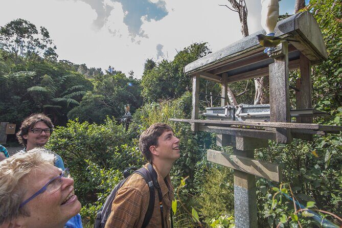 Small Group Daytime 2-Hour Eco Wildlife Tour at Zealandia - Key Points