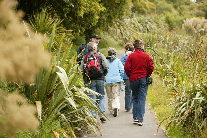 Small Group Daytime 2-Hour Eco Wildlife Tour at Zealandia - Who Would Love This Tour?