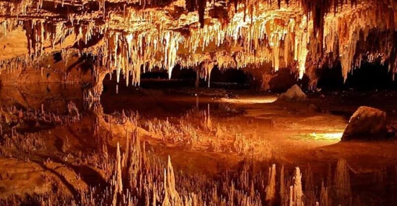 Small-Group DC Day Trip to Shenandoah Park&Luray Cavern - Pricing and Value