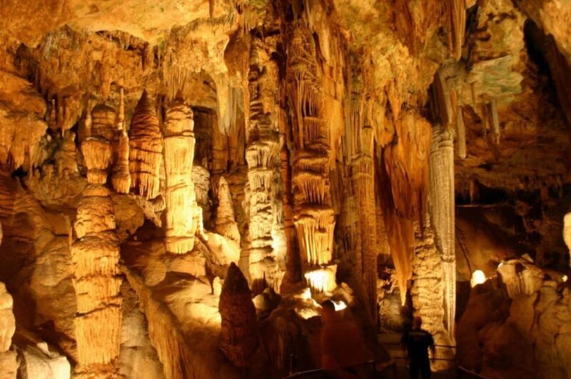 Small-Group DC Day Trip to Shenandoah Park&Luray Cavern - Authentic Experiences from Past Travelers
