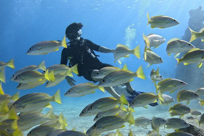 small-group-discover-scuba-diving-from-electric-beach-with-photos-2