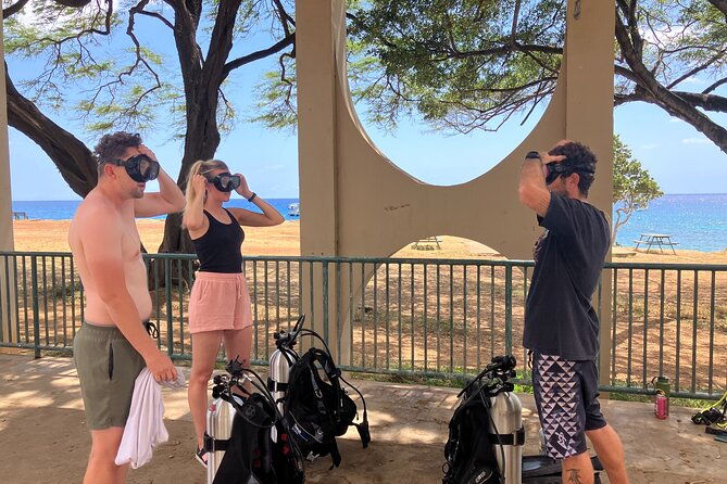 small-group-discover-scuba-diving-from-electric-beach-with-photos-2