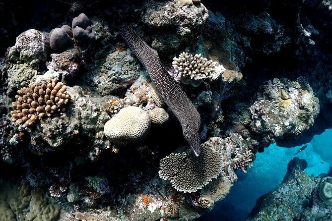 small-group-diving-activity-in-miyakojima