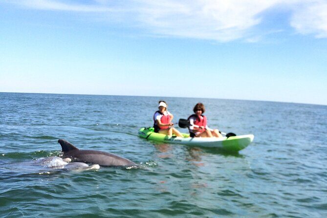 Small Group Dolphin Kayak Eco-Tour - Who Will Love This Tour?