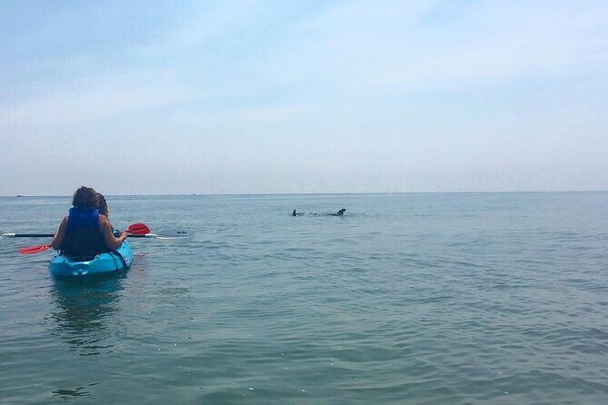 Small Group Dolphin Kayak Eco-Tour - FAQs