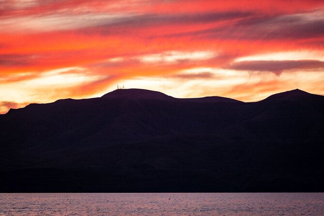 small-group-dolphin-sunset-tour-on-electric-catamaran-lanzarote