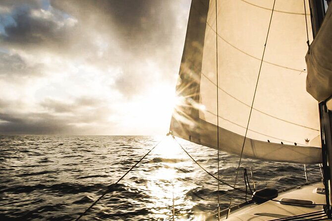 small-group-dolphin-sunset-tour-on-electric-sailing-boat-denia