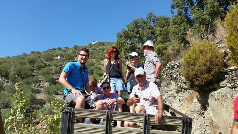 Small Group: Douro Valley Wine Tasting from Porto - Discover the Best of Douro Valley on a Small-Group Wine Tour from Porto