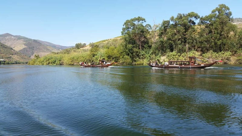 Small Group: Douro Valley Wine Tasting from Porto - An In-Depth Look at the Douro Valley Wine Tour