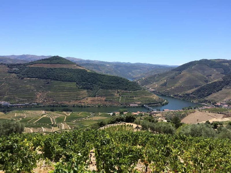 Small Group: Douro Valley Wine Tasting from Porto - Who Will Love This Tour?