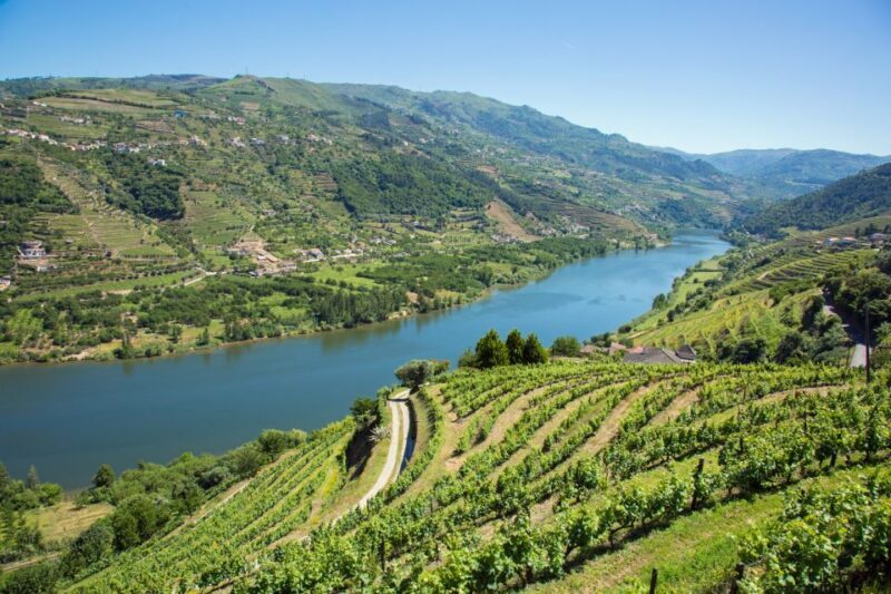 Small Group: Douro Valley Wine Tasting from Porto - Frequently Asked Questions