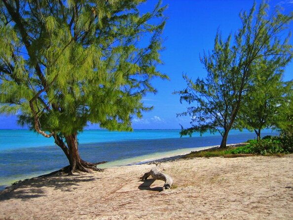 small-group-e-bike-grand-cayman-ecological-half-day-tour