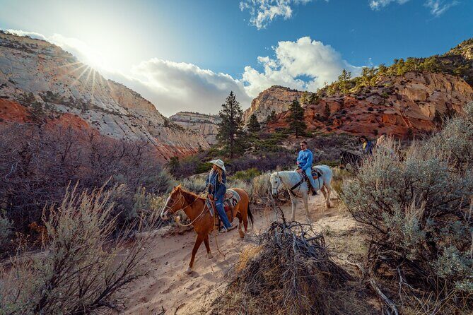 Small-Group East Zion White Mountain Horseback Ride - What to Expect from the East Zion White Mountain Horseback Ride
