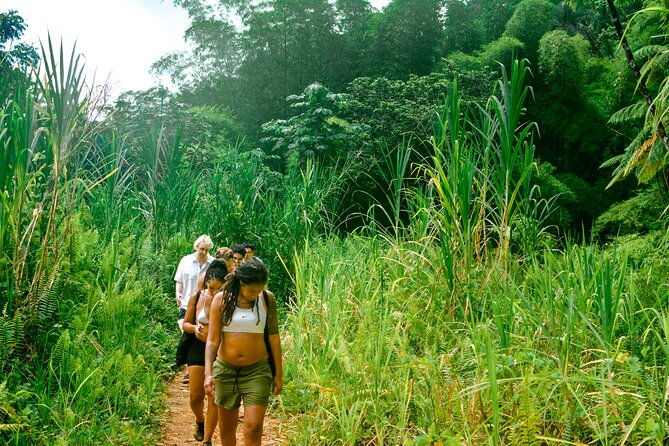 small-group-el-yunque-rainforest-vivid-day-tour-with-transport