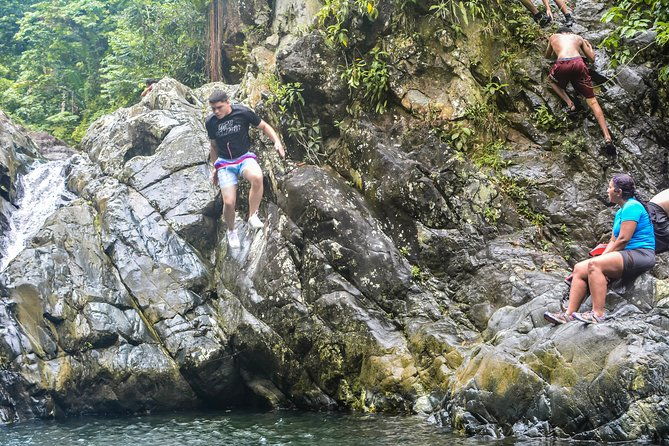 small-group-el-yunque-rainforest-vivid-day-tour-with-transport