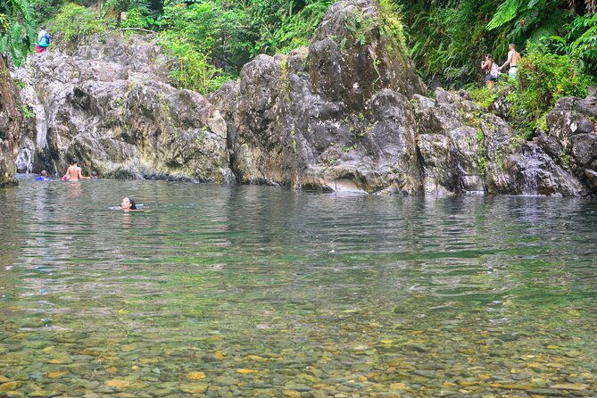small-group-el-yunque-rainforest-vivid-day-tour-with-transport