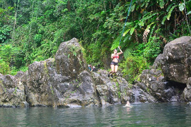 small-group-el-yunque-rainforest-vivid-day-tour-with-transport