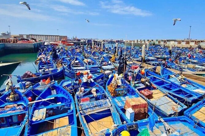 Small Group Essaouira Day Trip From Agadir with Guide - Key Points