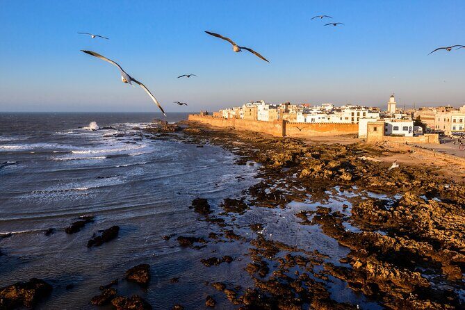 Small Group Essaouira Mogador Day Trip From Marrakech - Small Group Essaouira Mogador Day Trip From Marrakech Review