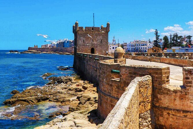 Small Group Essaouira Mogador Day Trip From Marrakech - Authentic Experiences and Practical Tips
