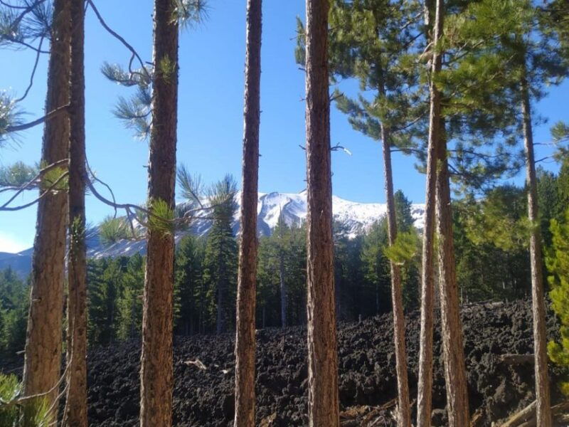 small-group-etna-walking-tour-and-visit-to-a-lava-cave