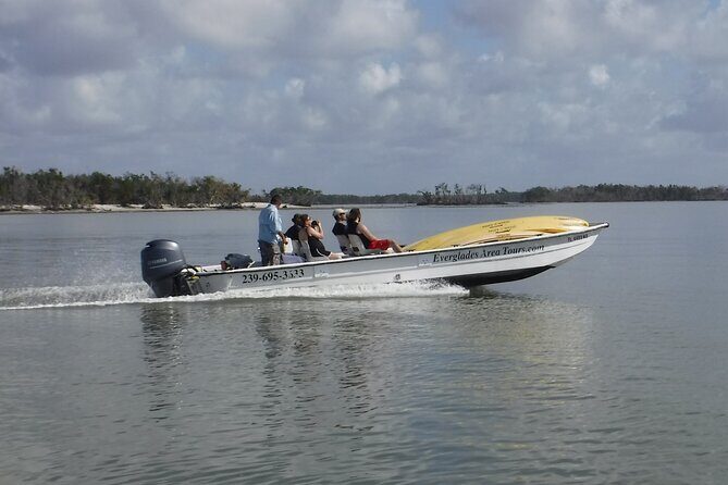 Small-Group Everglades Boating Kayaking and Walking Eco Tour - Wildlife and Environment Highlights
