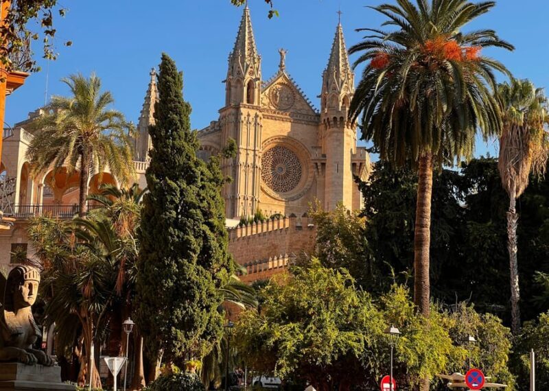 Small group- Exclusive Olive Oil & Wine Tour Mallorca - Final Thoughts: Is This Tour for You?