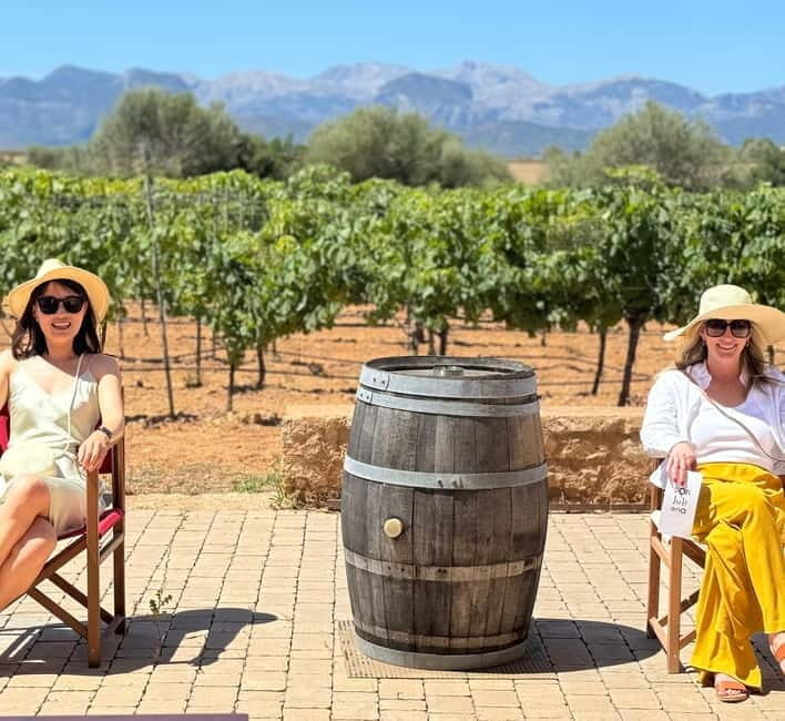 Small group- Exclusive Olive Oil & Wine Tour Mallorca - Who Should Consider This Experience?