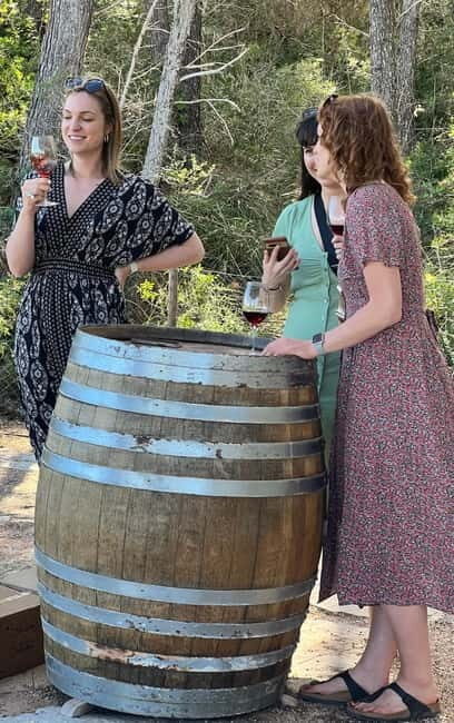 Small group- Exclusive Olive Oil & Wine Tour Mallorca - The Sum Up