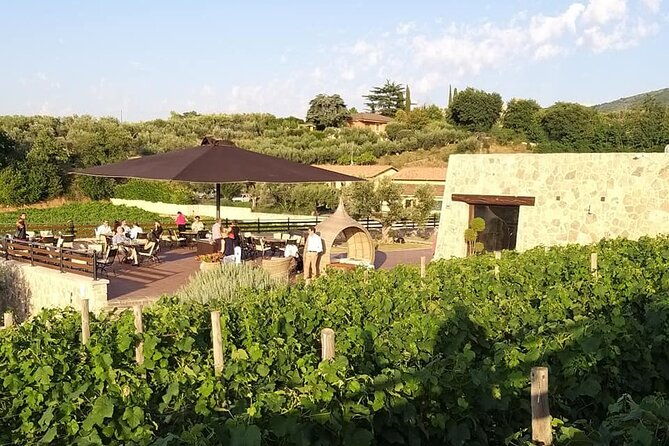 small-group-exclusive-winery-and-wine-tasting-tour-in-frascati