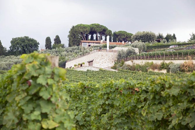 small-group-exclusive-winery-and-wine-tasting-tour-in-frascati