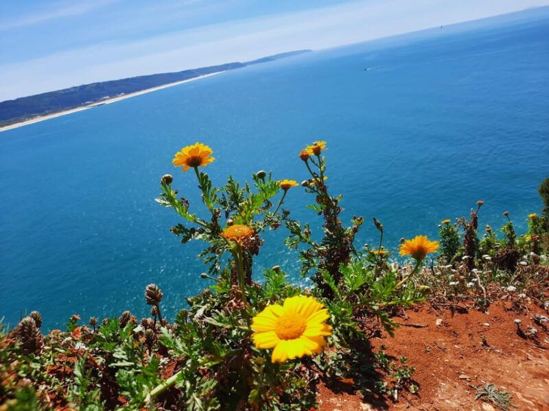 small-group-excursion-to-nazare-and-obidos-from-lisbon