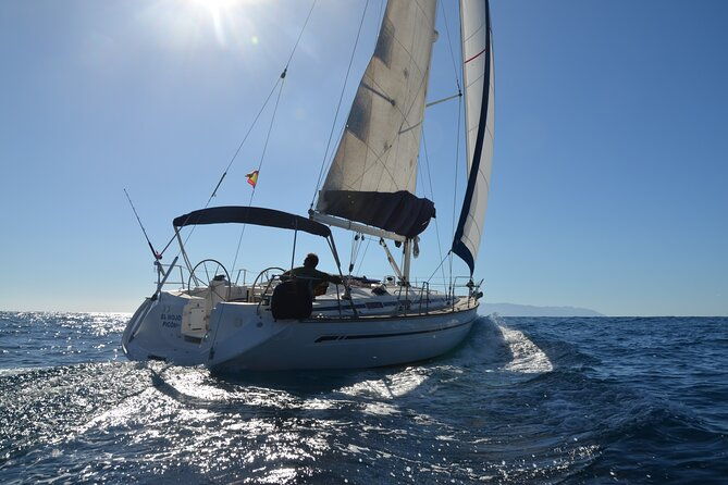 small-group-excursion-whales-and-dolphin-watching-los-gigantes