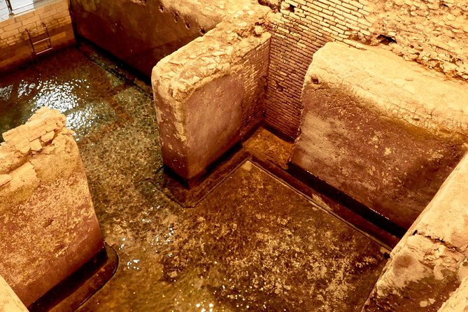 small-group-express-tour-of-trevi-fountain-with-undergrounds