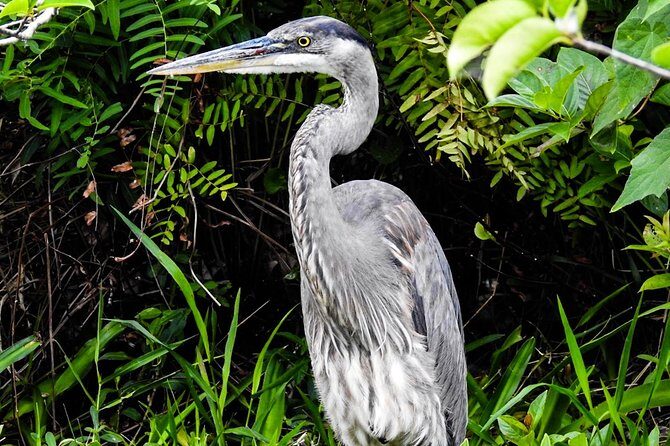 Small Group Florida Keys Eco Tour by Boat - The Value of This Eco Tour