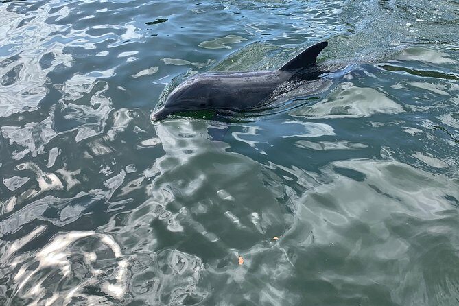 Small Group Florida Keys Eco Tour by Boat - Who Is This Tour Best For?