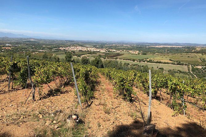 Small-Group Food and Wine Tour from Cagliari - Frequently Asked Questions