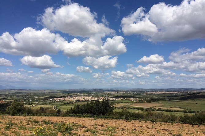 Small-Group Food and Wine Tour from Cagliari - Final Thoughts