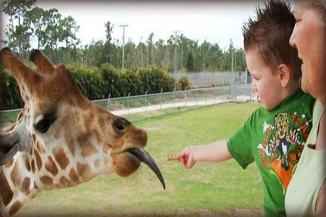 small-group-fort-lauderdalepalm-beach-day-tour-from-miami-fl