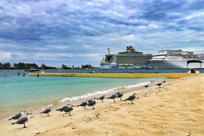 small-group-fort-lauderdalepalm-beach-day-tour-from-miami-fl