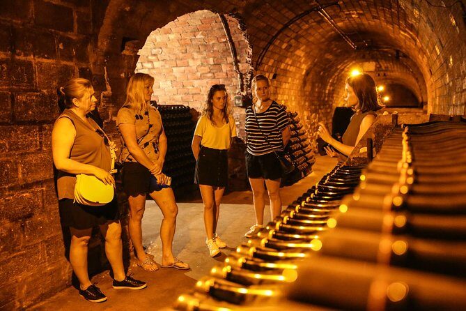 Small Group - Full Day Champagne Tour 3 Small Champagne Growers - What’s the Value Like?