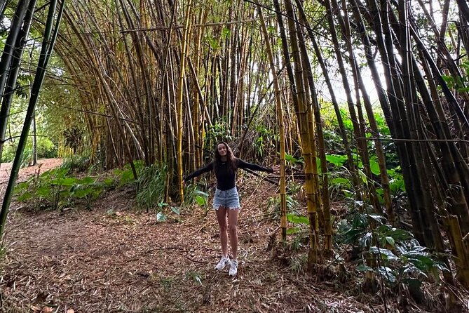 small-group-full-day-road-to-hana-adventure
