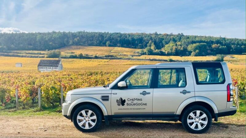 small-group-full-day-tour-in-the-burgundy-vineyards