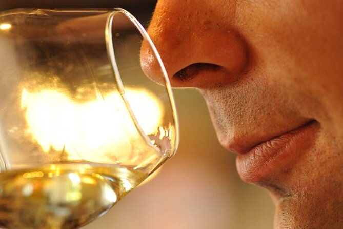 small-group-full-day-tour-of-cote-de-nuits-cote-de-beaune-vineyards-and-beaune-historical-district