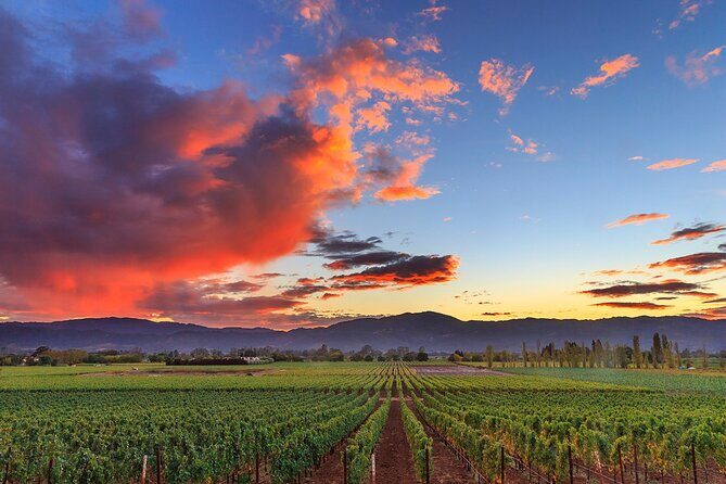 Small-Group Giant Redwoods and Russian River Wine Country Trip - A Closer Look at the Itinerary