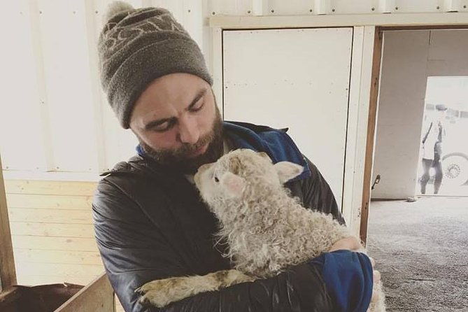 small-group-golden-circle-classic-tour-from-reykjavik