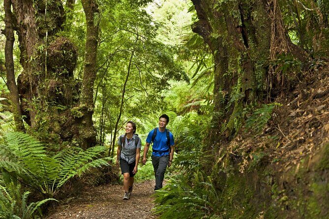 Small-Group Great Ocean Road Classic Day Tour from Melbourne - FAQ: Your Practical Questions Answered